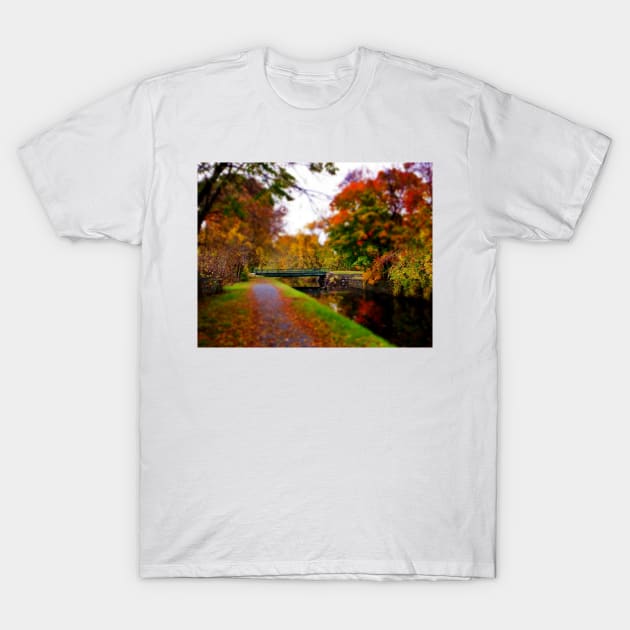 Canal Dream T-Shirt by Rodwilliams